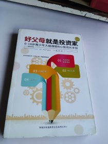 好父母就是投资家:0-16岁青少年大脑潜能与心智成长手册