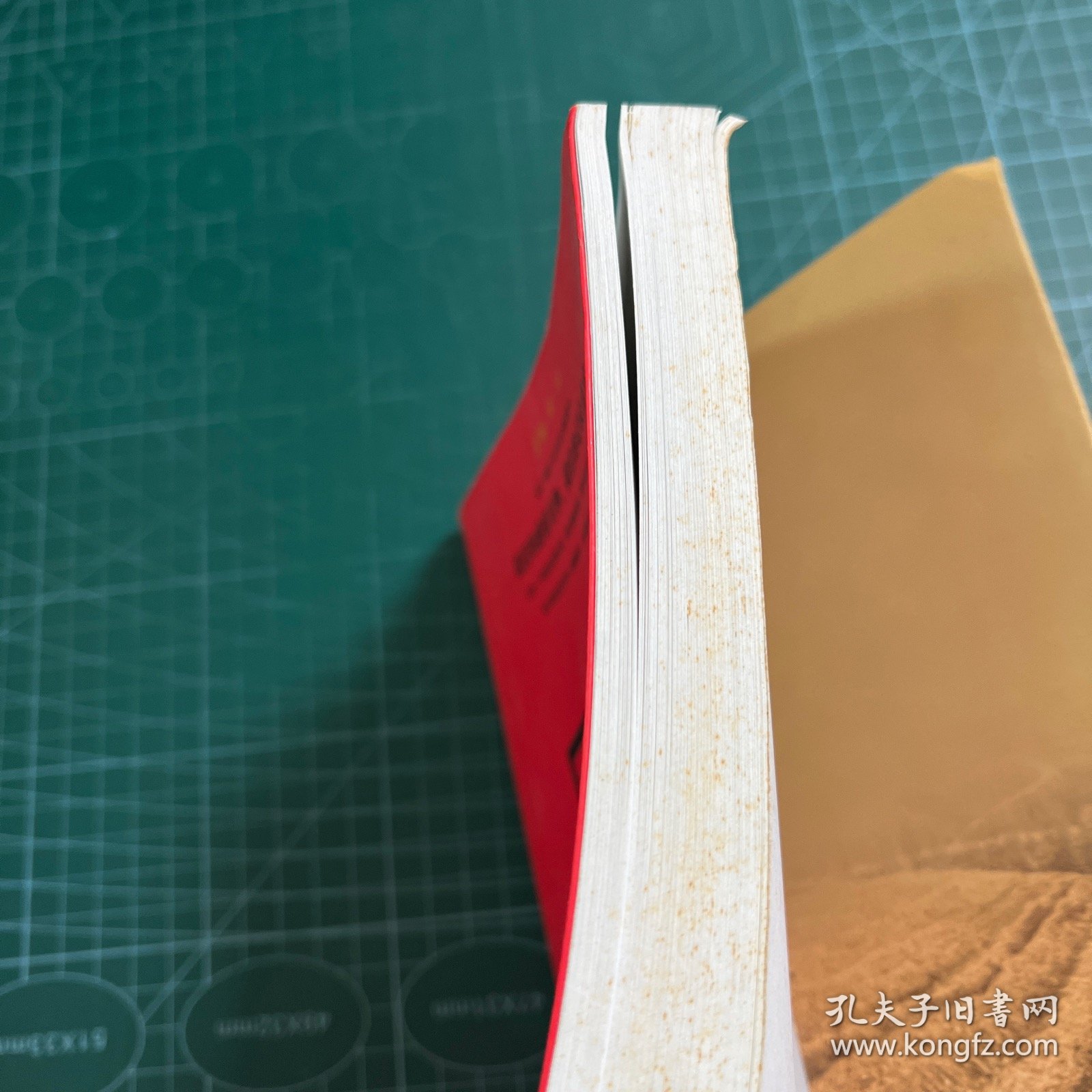 南中国“三农”问题调查:《南方农村报》记者与农民全接触