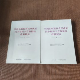 巩固拓展脱贫攻坚成果同乡村振兴有效衔接政策解读(上)