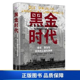 【正版新书】黑金时代：煤炭、政治与美国的工业化抉择9787523600467