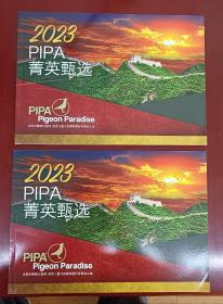 2023 PIPA 菁英甄选 欧洲比利时赛鸽天堂网 保时捷911家族 黄金配对 鸽王 冠军 赛鸽 信鸽 幼鸽 种鸽