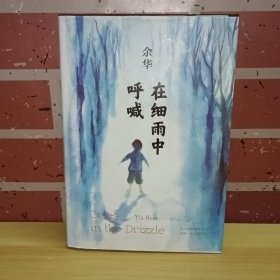 在细雨中呼喊