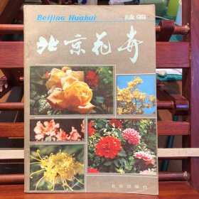 北京花卉