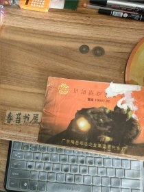 富威摩托车使用维护说明书