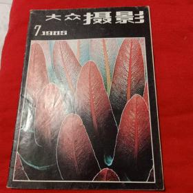 大众摄影1985年第7期