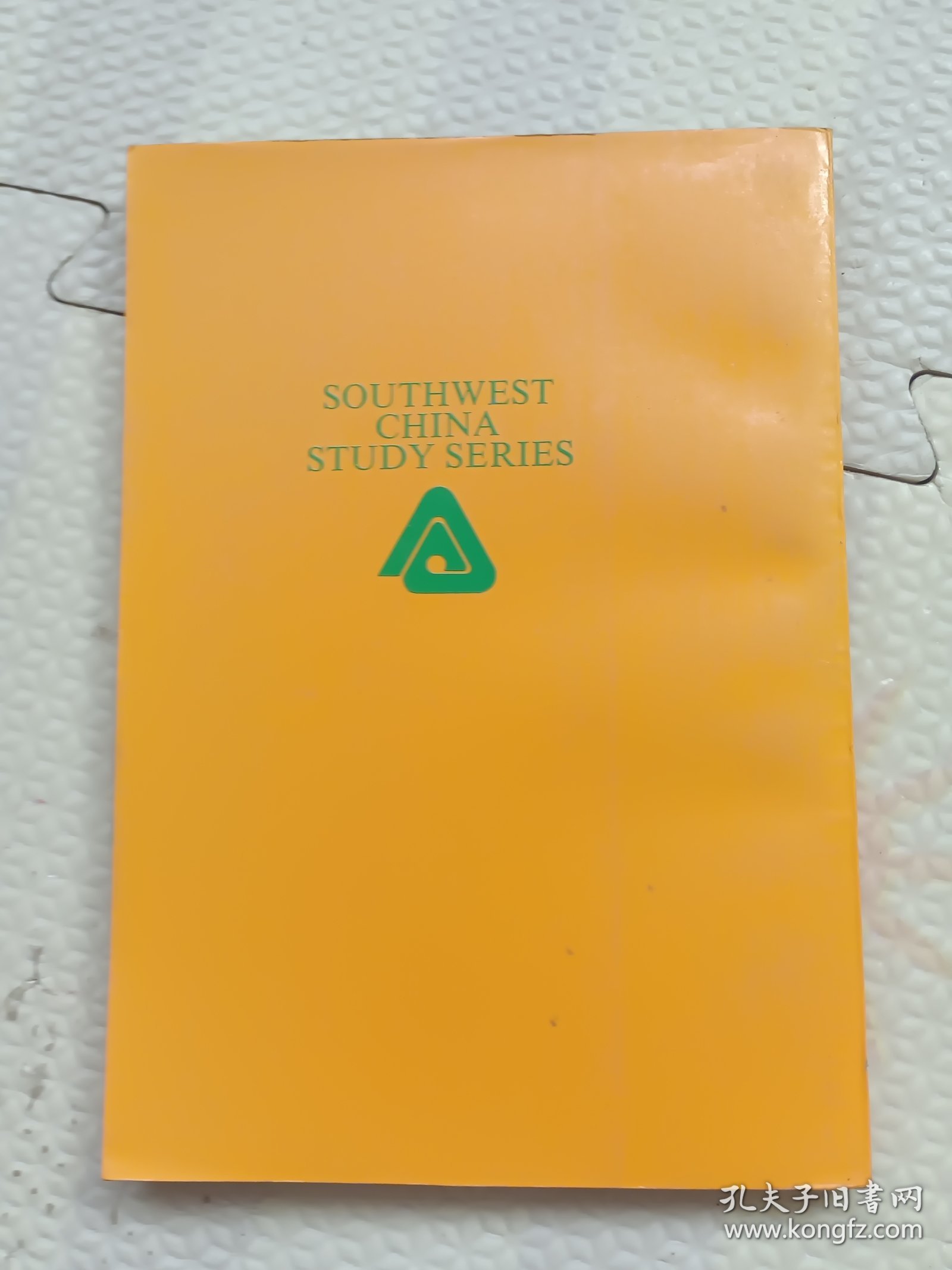 神鬼之祭~西南少数民族傅统宗教文化研究