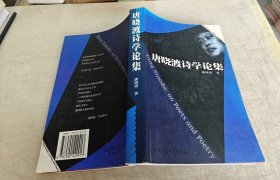 唐晓渡诗学论集