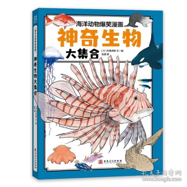 神奇生物大集合（海洋里的庞然大物都有谁？鲸类也有“左撇子”和“右撇子”？海洋科普系列）