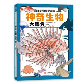 神奇生物大集合（海洋里的庞然大物都有谁？鲸类也有“左撇子”和“右撇子”？海洋科普系列）