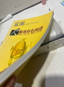 实用人体解剖彩色图谱