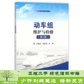 动车组维护与检修（第2版）/CRH动力组系列教材