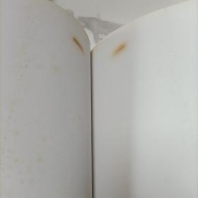 廖其澄花鸟画集