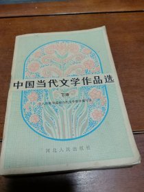 中国当代文学作品选（下册）