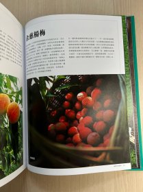 宁波味道的饮食和文化(精装近全新)