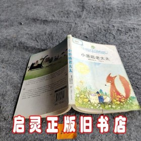 小茶匙老太太：全球儿童文学典藏书系