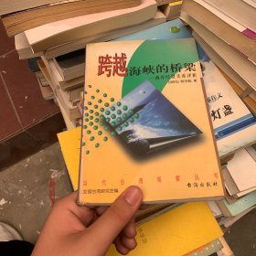 跨越海峡的桥梁
