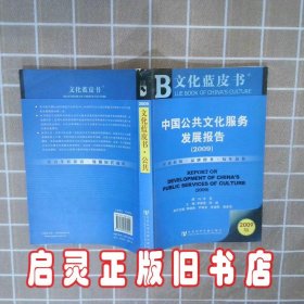 中国公共文化服务发展报告（2009）