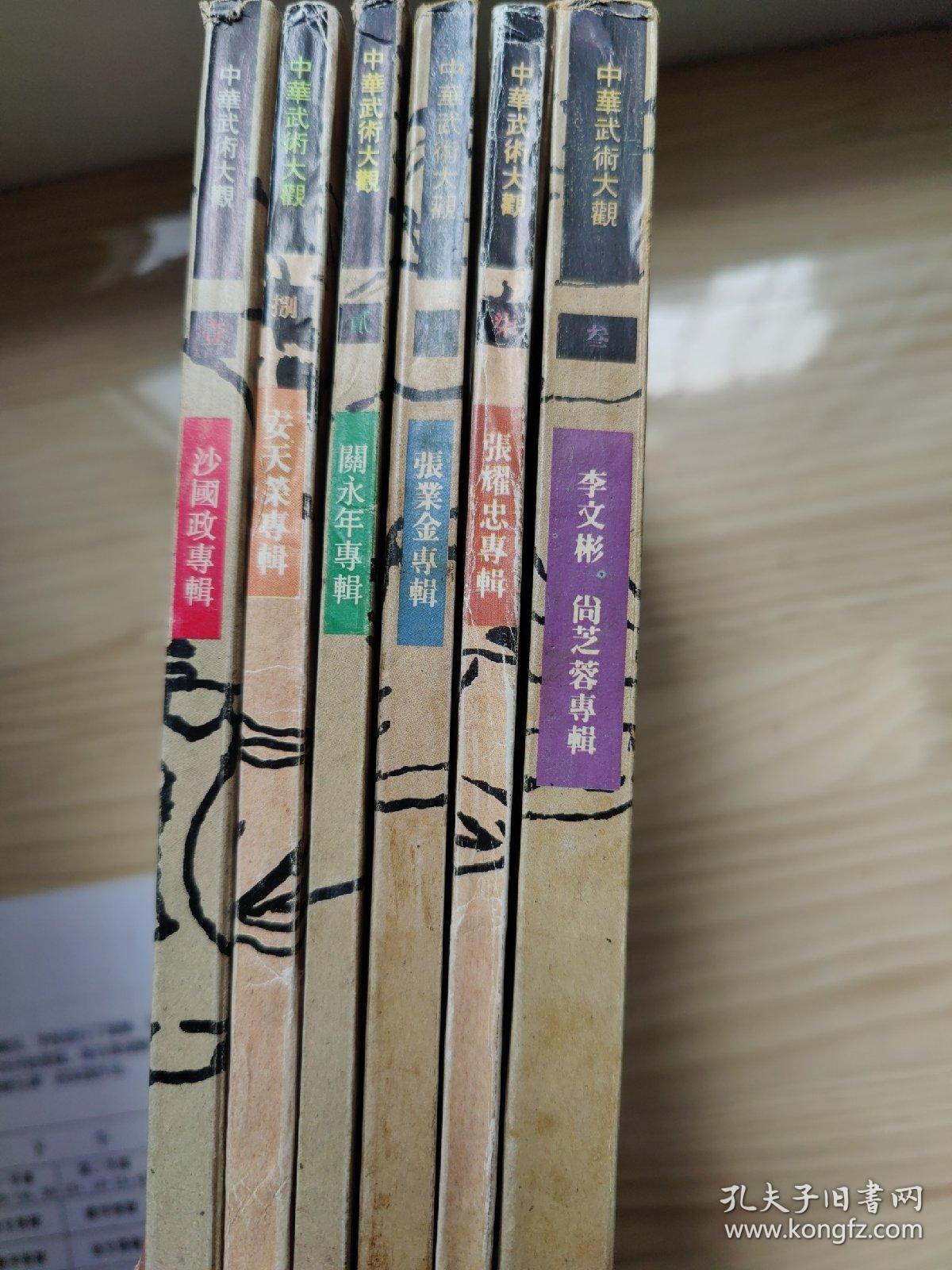 中华武术大观  6册（沙国政专辑，关永年专辑，李文彬尚芝蓉专辑，张业金专辑，张耀忠专辑，安天荣专辑）