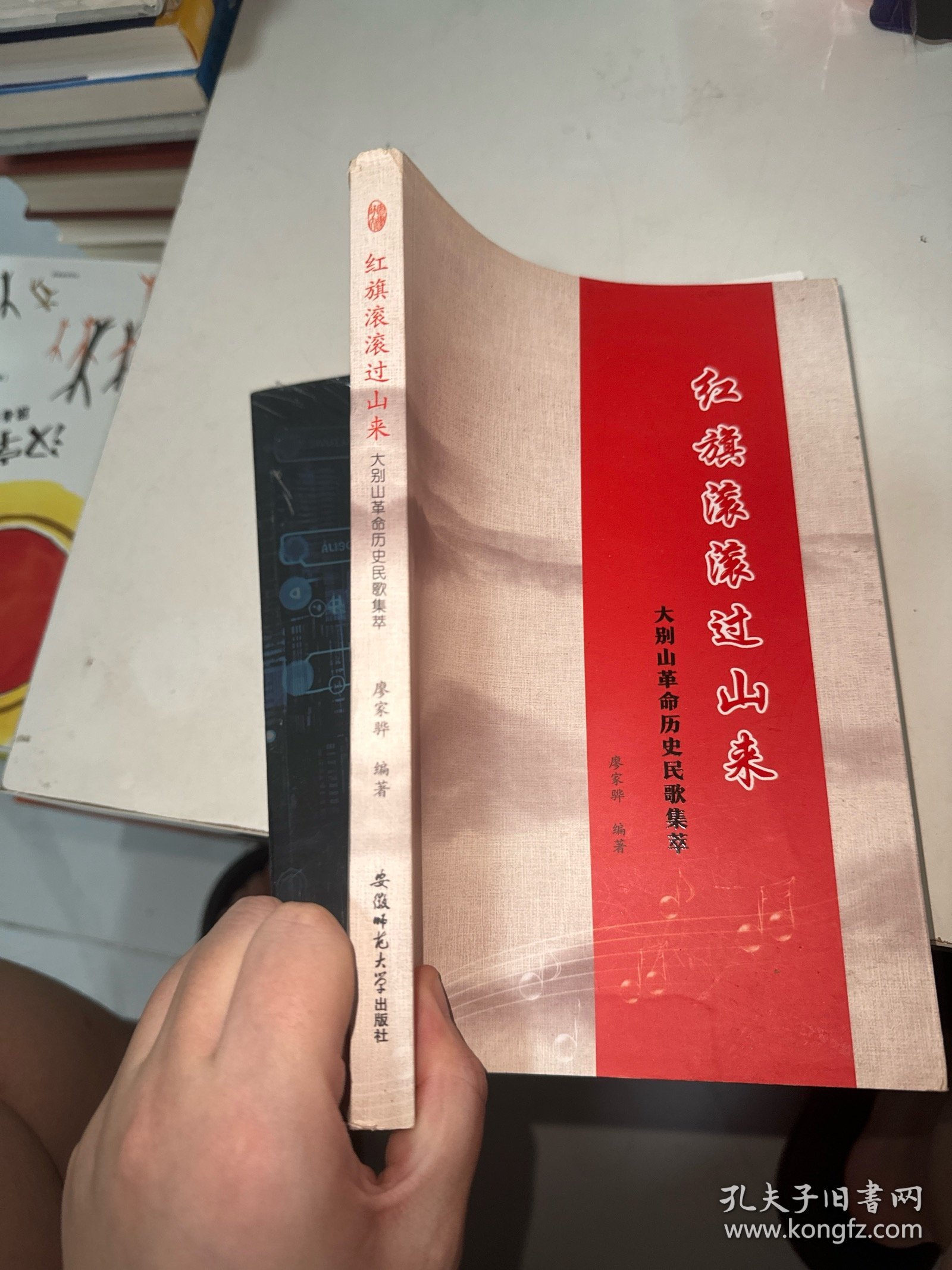 红旗滚滚过山来 大别山革命历史民歌集萃