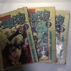 少年侦探银狼1-3