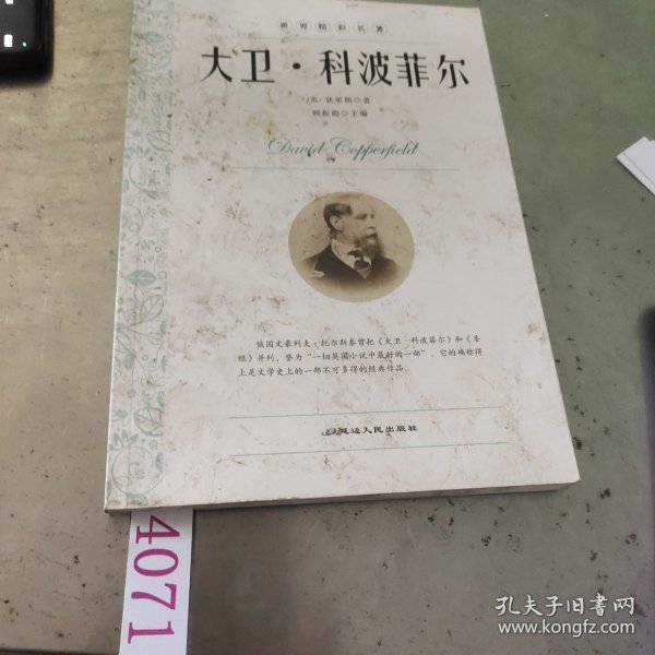 大卫·科波菲尔