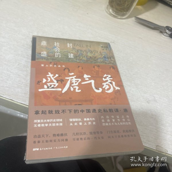 爱上历史系列丛书——盛唐气象：封建社会的鼎盛