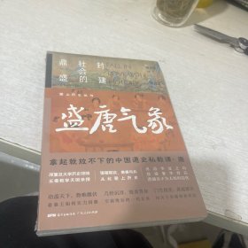 爱上历史系列丛书——盛唐气象：封建社会的鼎盛