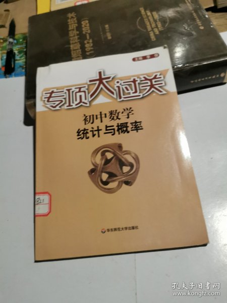 专项大过关·初中数学：统计与概率