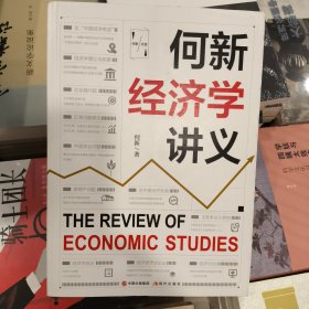 正版库存何新经济学讲义