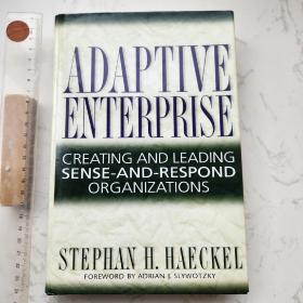 Adaptive Enterprise