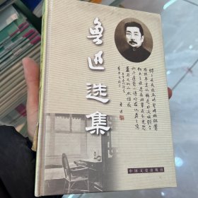 鲁迅选集(全十二卷)