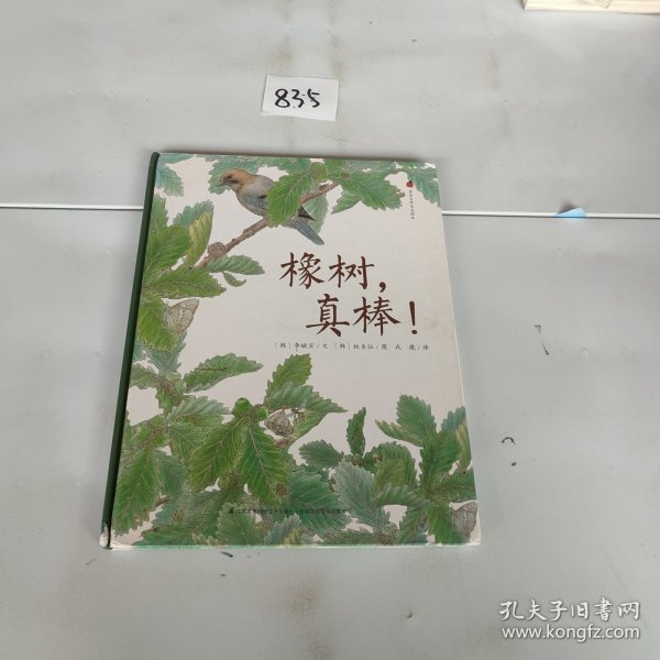 亲近自然生态绘本：橡树，真棒！