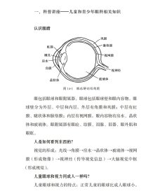 正版新书现货 儿童和青少年眼健康筛查与近视防控 9787543981294 周行涛 周晓东 赵婧