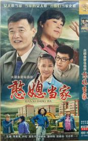 大型生活电视剧《憨媳当家》 主演: 李菁菁 孙松 高冬平 侯继林 唐梓翔 班嘉佳 戈志军 （DVD 2片装）