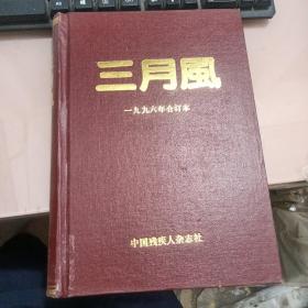 三月风1996年1-12期合订本【333号】