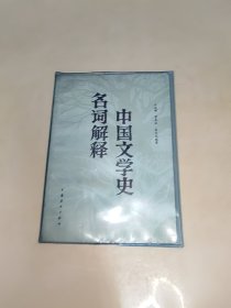 中国文学史名词解释 一版一印
