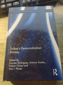 Turkey's Democratization Process(土耳其的民主化进程)