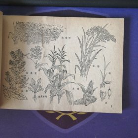 《农林牧副渔美术参考资料》 插图本(1979年3月)1 版1印 上海人民美术出 (私藏)