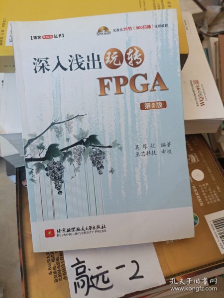 深入浅出玩转FPGA