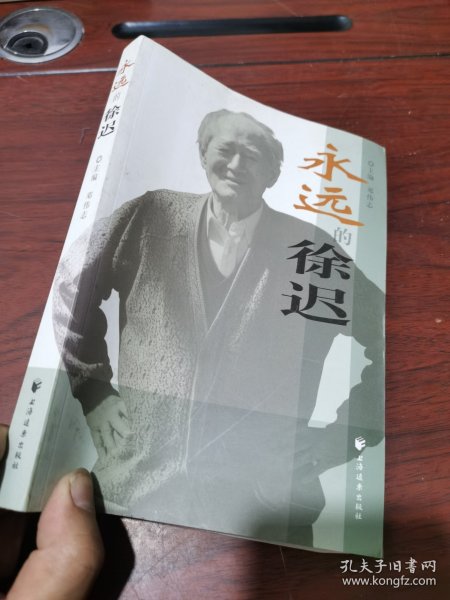 永远的徐迟 上海远东出版社