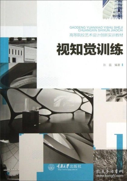 视知觉训练/高等院校艺术设计创新实训教材