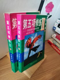 000第五项修炼2上下