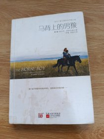 马背上的男孩
