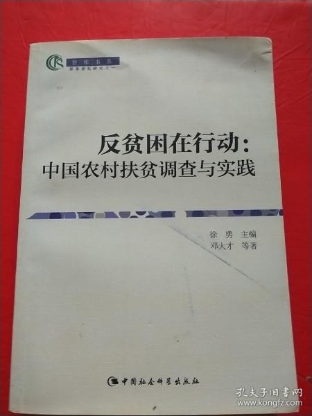 反贫困在行动：中国农村扶贫调查与实践（智库书系）