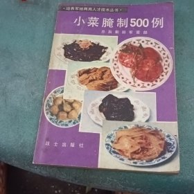 培养军地两用人才技术丛书小菜腌制500例