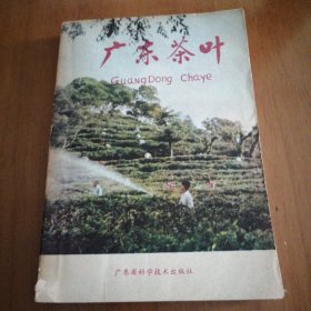 广东茶叶