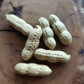 茶宠：象生花生 六枚一组
