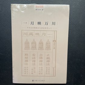 一月映万川(中华汉传佛教四大禅法修学入门)