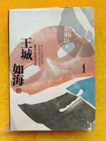 王城如海