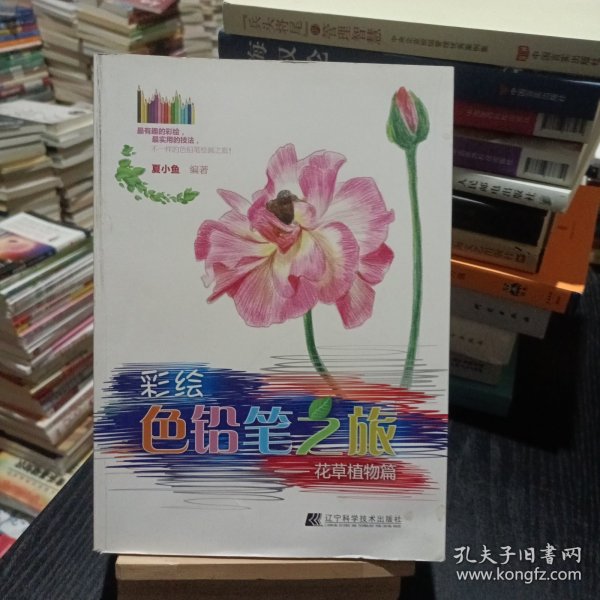 彩绘色铅笔之旅：花草植物篇